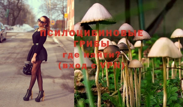 герыч Магадан